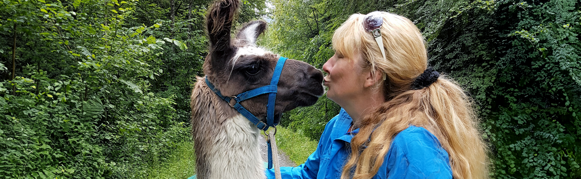Patenschaft für ein Lama - Lamatrekking Giswil